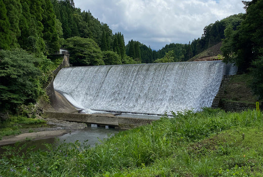 日本一美しい「白水ダム」と「名水の里」湧水豆腐が楽しめる竹田市の名