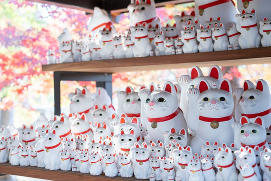 Meet Japan’s Lucky Cats: A Tokyo Travel Guide to Gotokuji & Manekineko